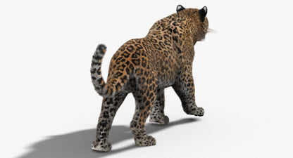 Leopard Animated Fur 3D Model