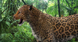 Realistic Leopard 3D Model with rigging and animation for Download Thumbnail