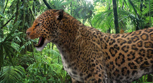 Realistic Leopard 3D Model with rigging and animation for Download Thumbnail