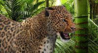 Realistic Leopard 3D Model with rigging and animation for Download