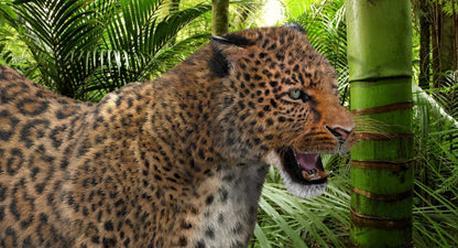 Leopard Animated Fur 3D Model