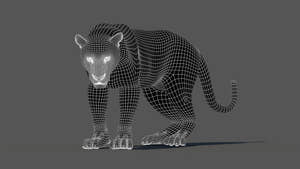 Leopard 3D Model Wireframe View Subdivision Level 1 Thumbnail