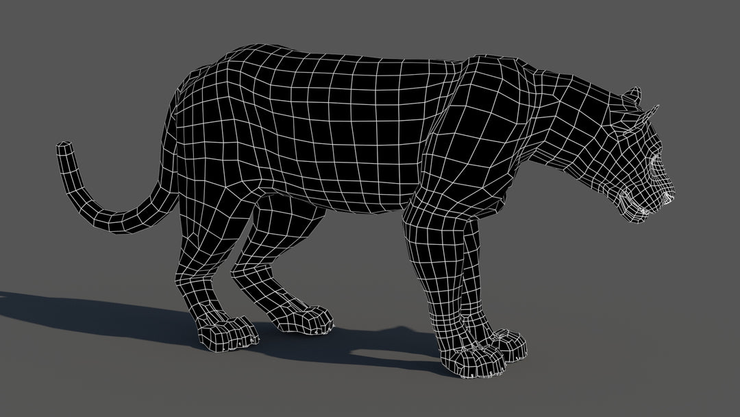 Leopard 3D Model Wireframe View Subdivision Level 0
