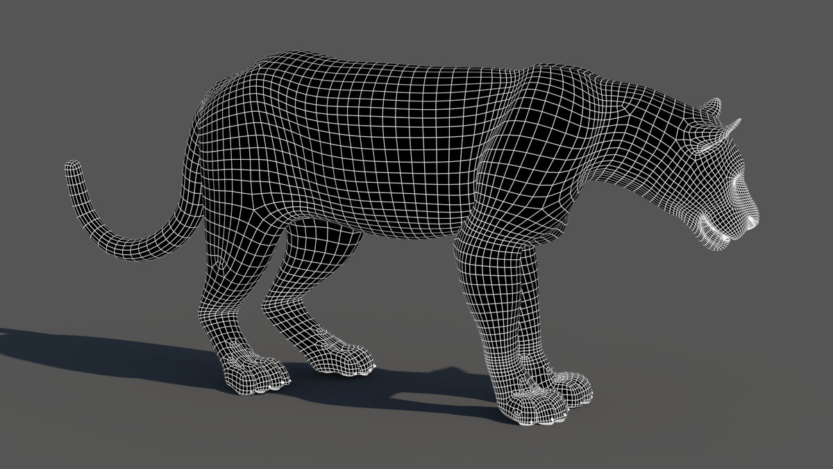 Leopard 3D Model Wireframe View Subdivision Level 1