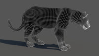 Leopard 3D Model Wireframe View Subdivision Level 1