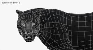 Leopard 3D Model Head Close Up -Wireframe View Subdivision Level 0 Thumbnail