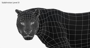 Leopard 3D Model Head Close Up -Wireframe View Subdivision Level 0 Thumbnail