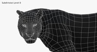 Leopard 3D Model Head Close Up -Wireframe View Subdivision Level 0