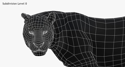 Leopard Animated Fur 3D Model