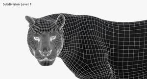 Leopard 3D Model Head Close Up -Wireframe View Subdivision Level 1 Thumbnail