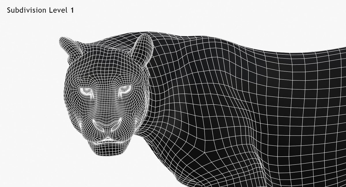 Leopard 3D Model Head Close Up -Wireframe View Subdivision Level 1