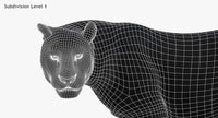 Leopard 3D Model Head Close Up -Wireframe View Subdivision Level 1
