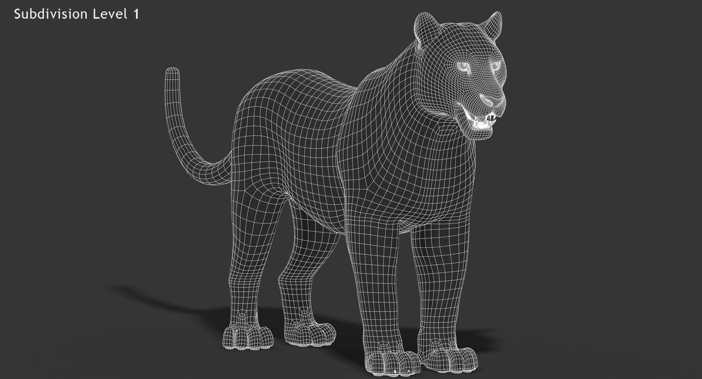 Big Cats 03 3D Model