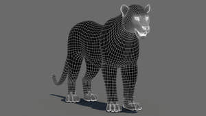 Realistic Leopard 3D Model Wireframe View Subdivision Level 1 Thumbnail
