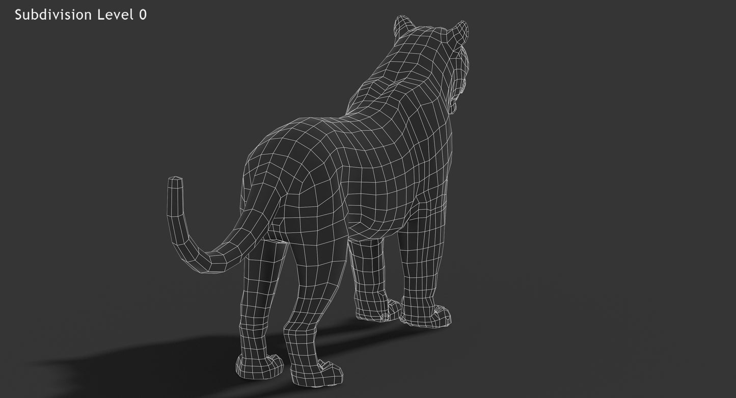 Big Cats 03 3D Model