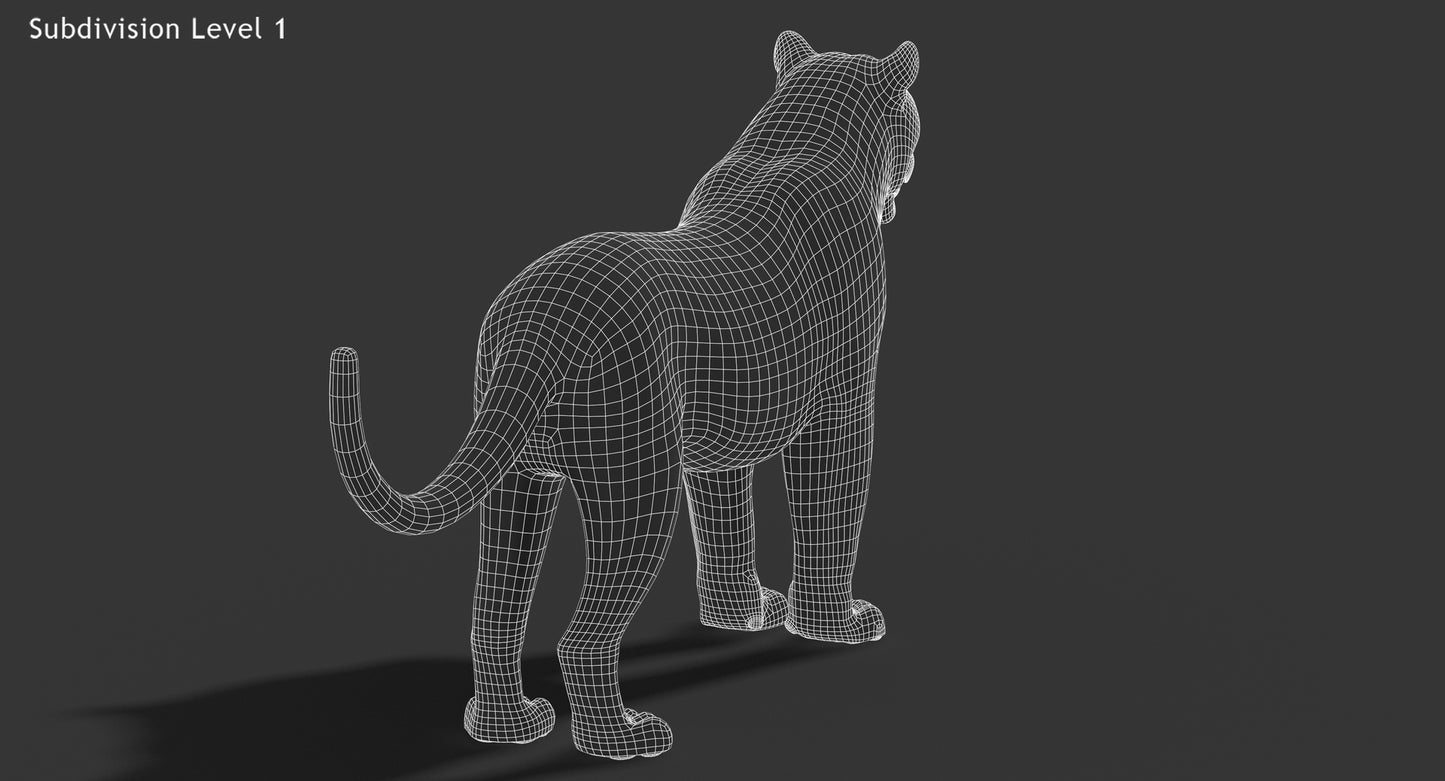 Big Cats 03 3D Model
