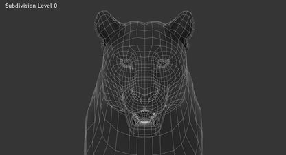 Big Cats 03 3D Model
