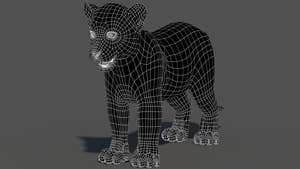 Perspective wireframe view of leopard cub 3D model in walking pose without subdivision Thumbnail