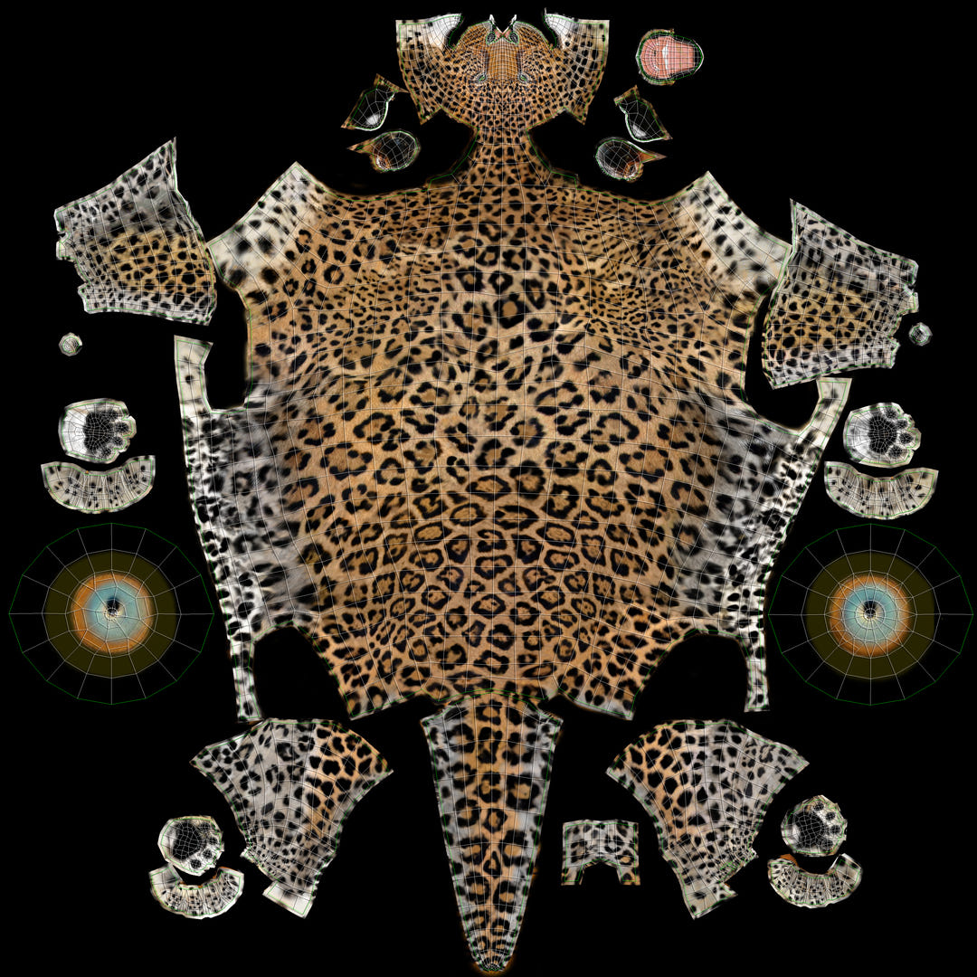 Big Cats 3D Model Animated