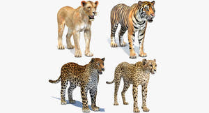 Lifelike Big Cats 04 3D Model for Download Thumbnail