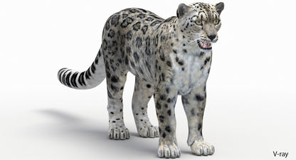 Lifelike Snow Leopard 3D Model - V-ray Renderer