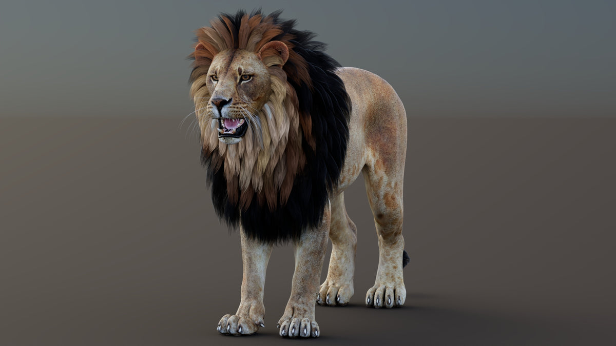 Game-Ready Lion 3D Model PBR
