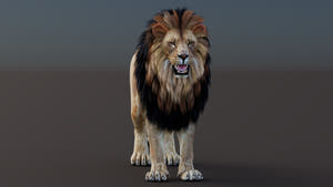 Game-Ready Lion 3D Model PBR Thumbnail