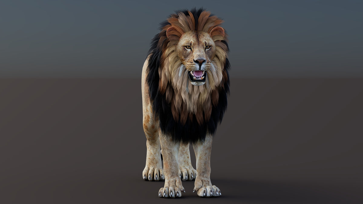Game-Ready Lion 3D Model PBR