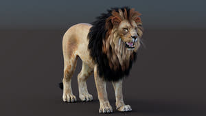 Game-Ready Lion 3D Model PBR Thumbnail