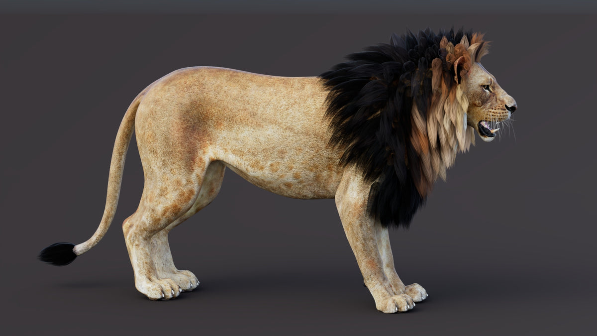 Game-Ready Lion 3D Model PBR
