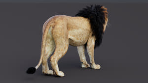Game-Ready Lion 3D Model PBR Thumbnail