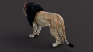 Game-Ready Lion 3D Model PBR Thumbnail