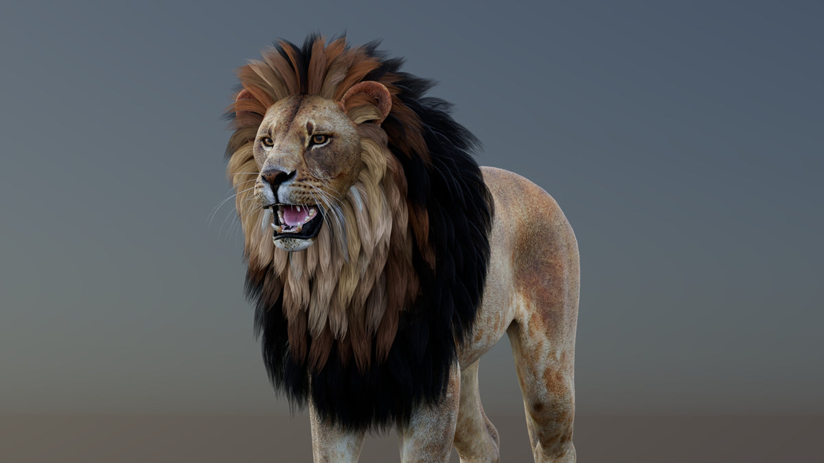 Game-Ready Lion 3D Model PBR