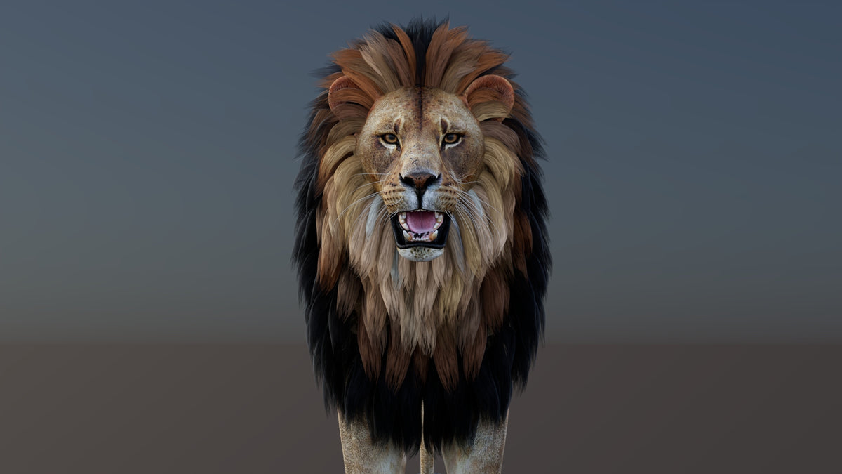 Game-Ready Lion 3D Model PBR