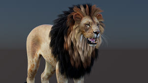 Game-Ready Lion 3D Model PBR Thumbnail