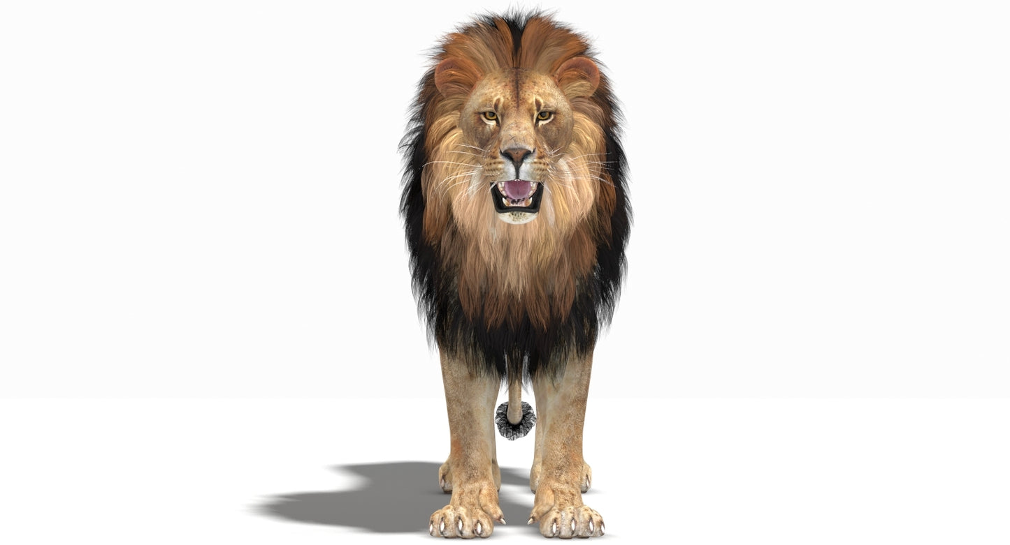 Realistic Lion 3D Model download head close up