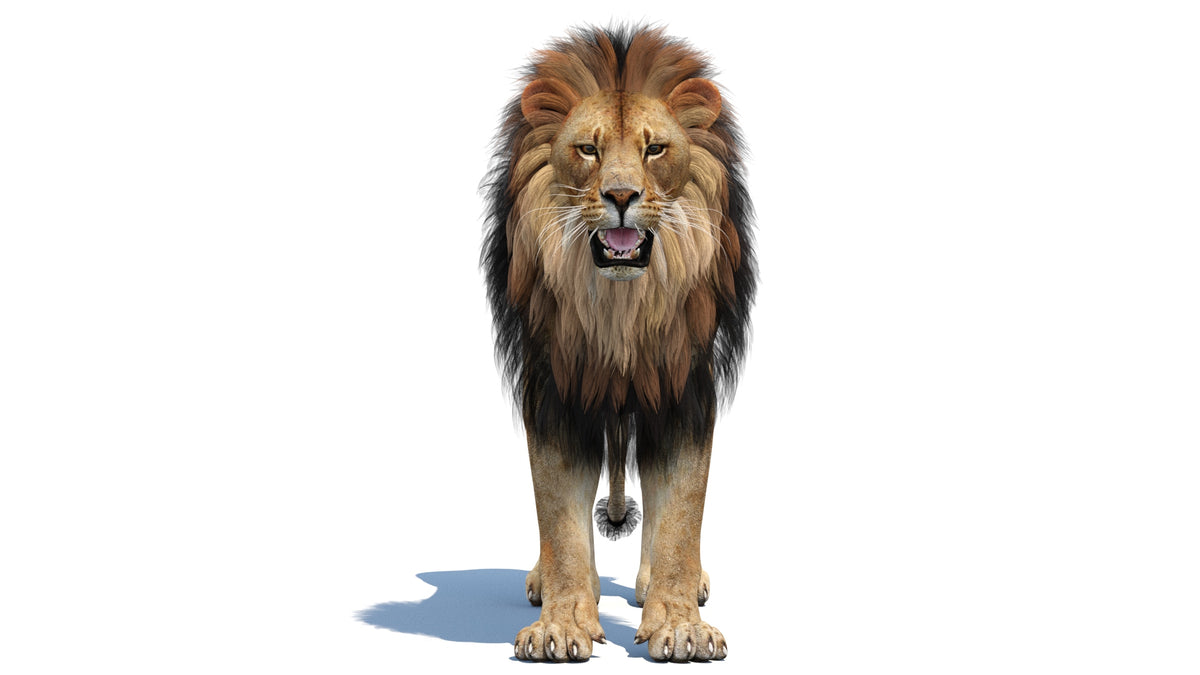 Realistic lion 3D Model with polygonal mane -wide cover