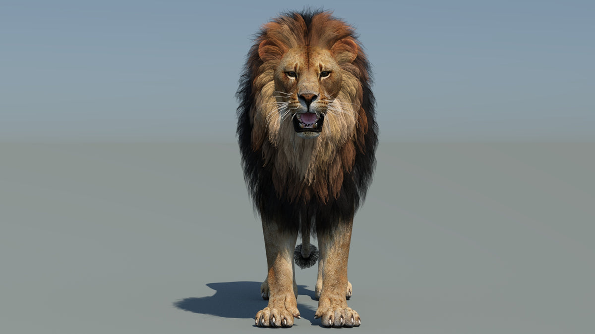 Realistic lion 3D Model for game with sky light