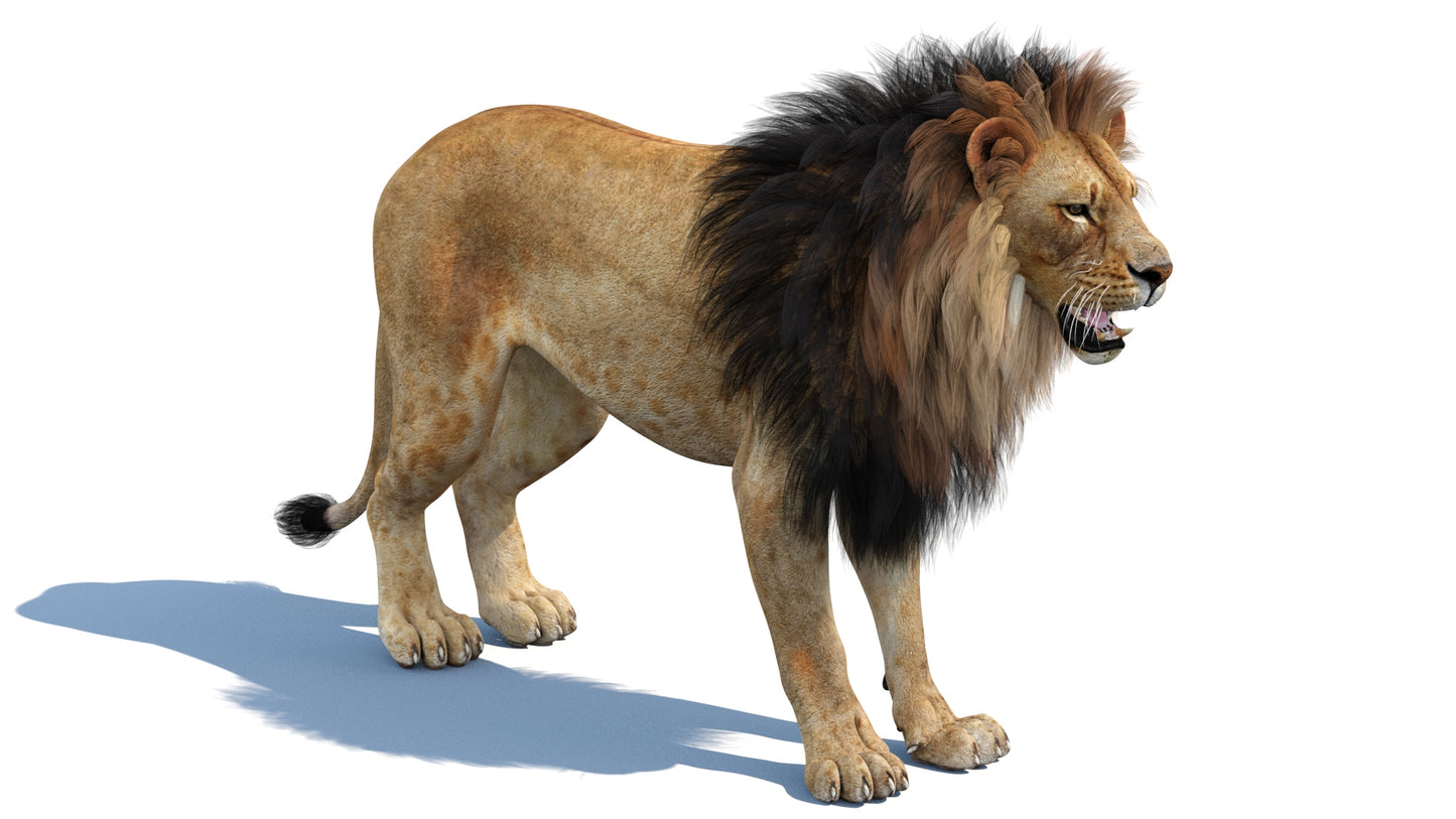 Realistic Lion 3D Model: Polygonal Mane