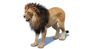 Realistic Lion 3D Model download Thumbnail
