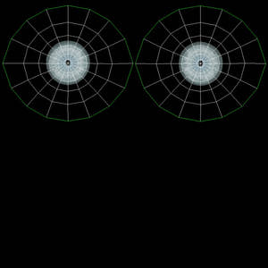 Lion 3D Model Eyes UVs Thumbnail