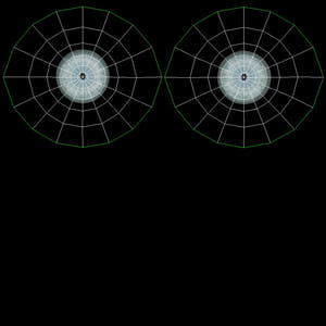 Lion 3D Model Eyes UVs Thumbnail