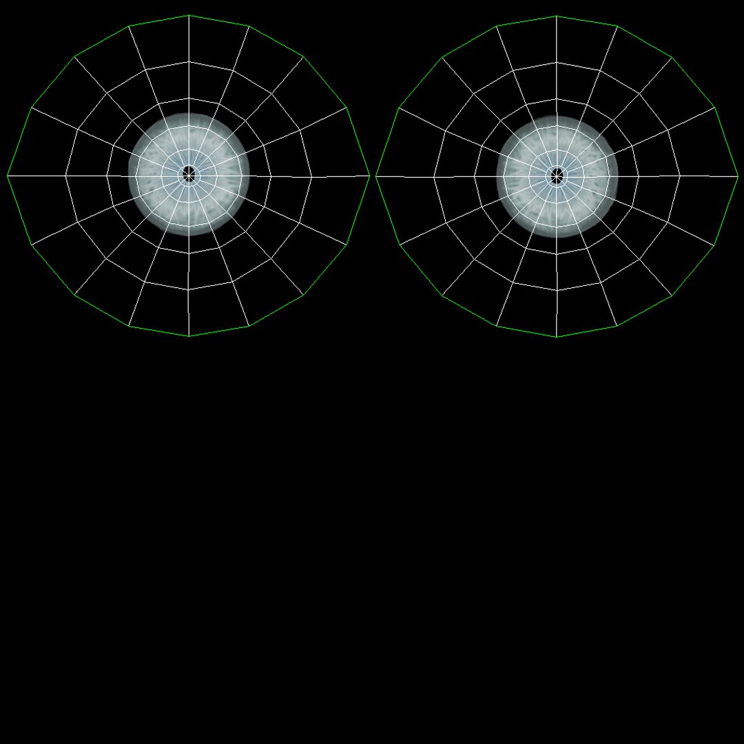 Lion 3D Model Eyes UVs
