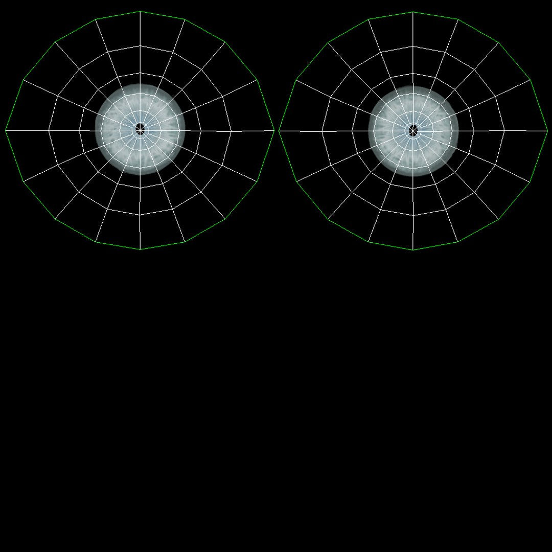 Lion 3D Model Eyes UVs