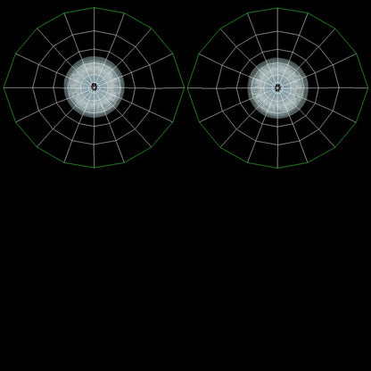 Lion 3D Model Eyes UVs