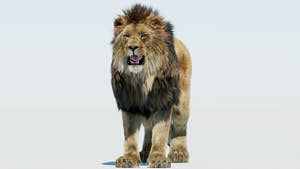 Realistic Lion 3D Model with Fur Signature Thumbnail