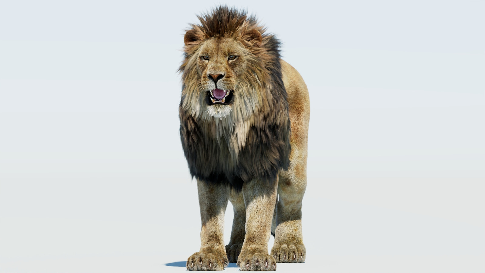 Realistic Lion 3D Model with Fur Signature
