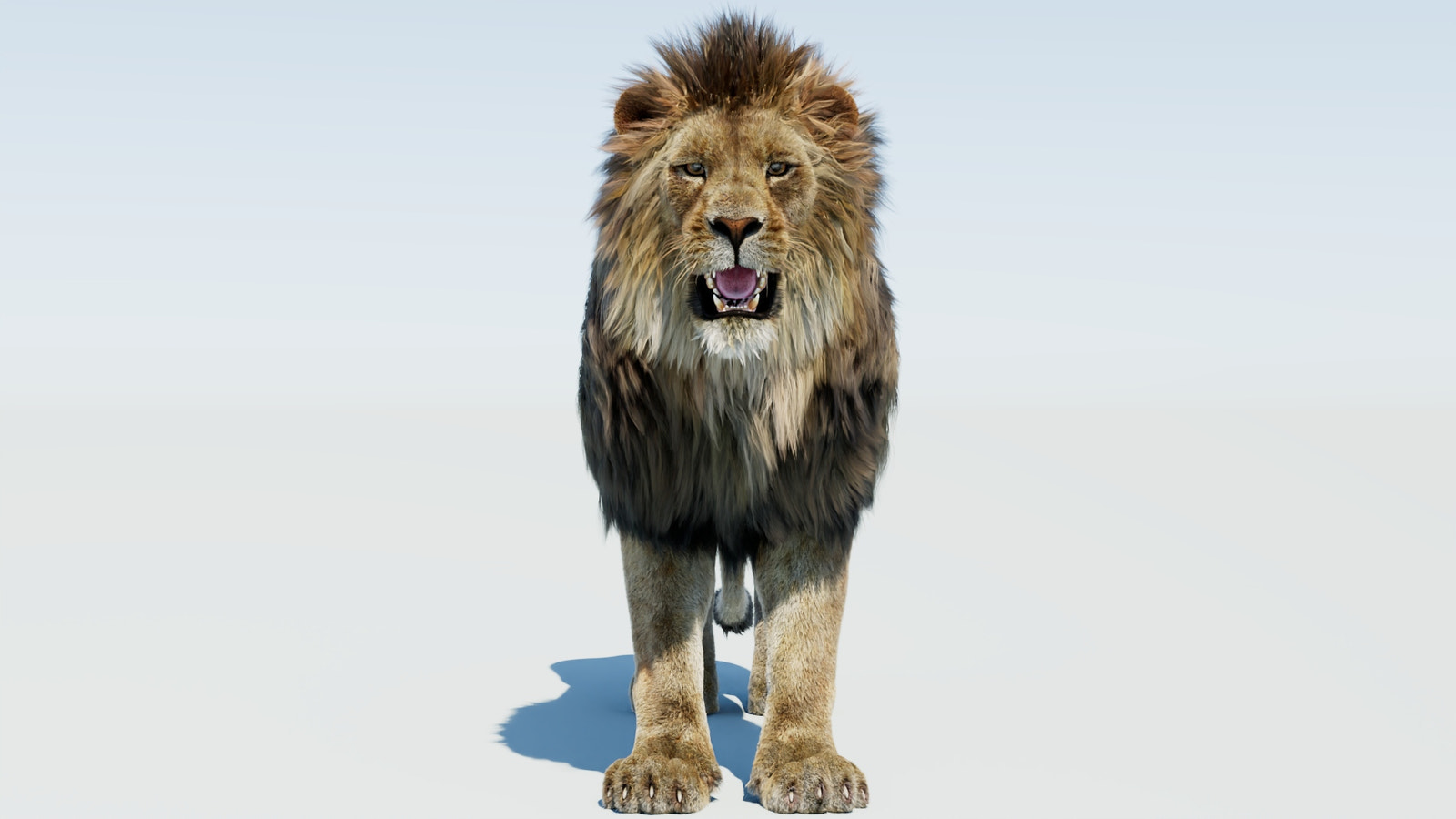 Realistic Lion 3D Model with Fur - Front View