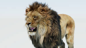 Realistic Lion 3D Model with Fur Head Close Up Perspective View Thumbnail