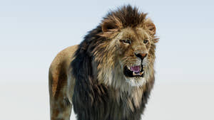 Realistic Lion 3D Model with Fur Head Close Up Perspective View Thumbnail